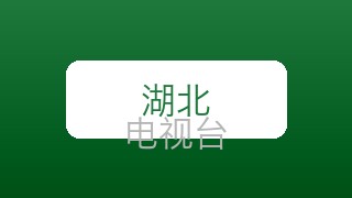 湖北经济在线直播